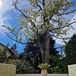 Diana 4* Merano