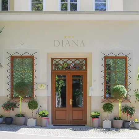 Diana 4*