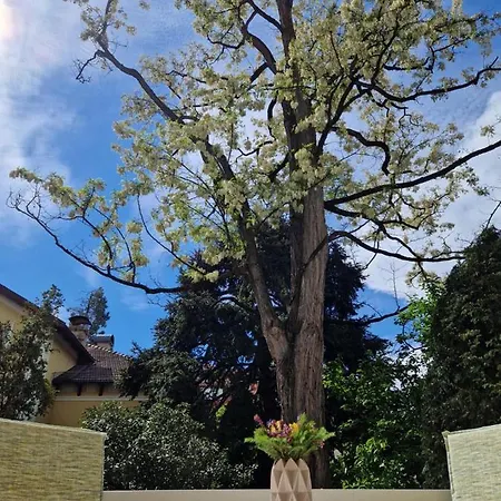 Diana 4* Merano