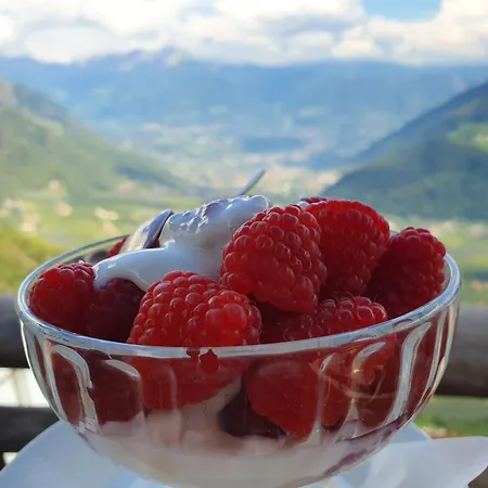 Diana Appart hôtel