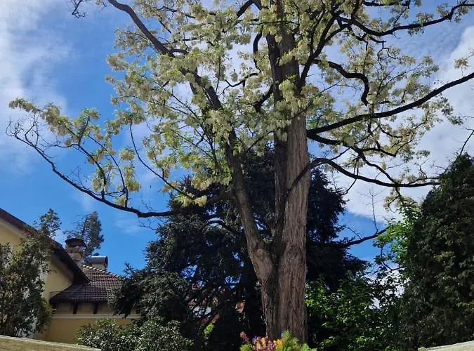 Diana 4* Μεράνο